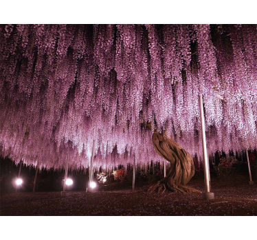 Big pink tree tree wall mural - TenStickers
