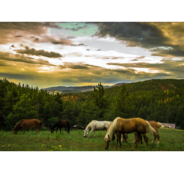 Horses in the mountains nature murals - TenStickers