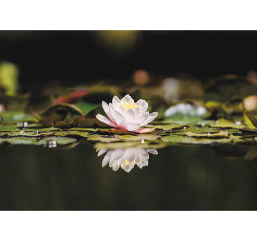 White Lotus Flower mural wallpaper - TenStickers