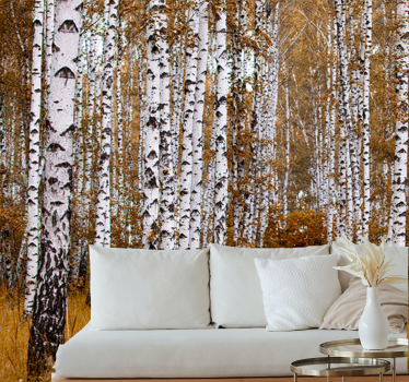 Birch trees with orange grass forest mural wallpaper - TenStickers