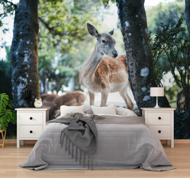 Animal wall mural graceful deer encounter - TenStickers