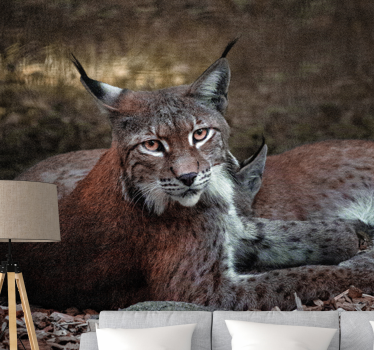Animal wall mural lynx sleeping pair - TenStickers