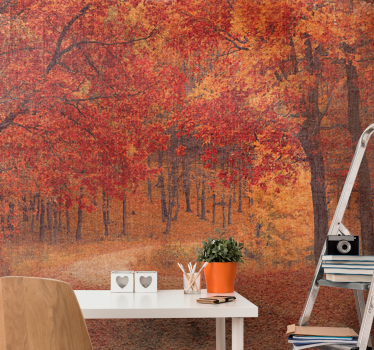 Autumn trees with red and orange leaves tree photo mural - TenStickers