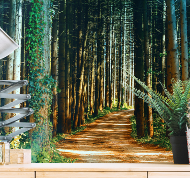 Beautiful nature path tree wall mural - TenStickers