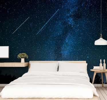 Beautiful shooting star landscape  night sky wall mural - TenStickers