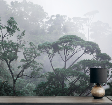 Big trees on a foggy day forest mural wallpaper - TenStickers