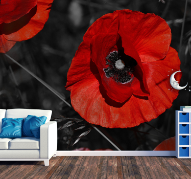 Blossom Poppy Flower Wallpaper Photo - TenStickers