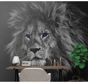 Blue eyes lion  lion murals - TenStickers