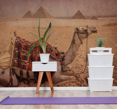 Camel sleeping in front of a pyramid wall mural - TenStickers