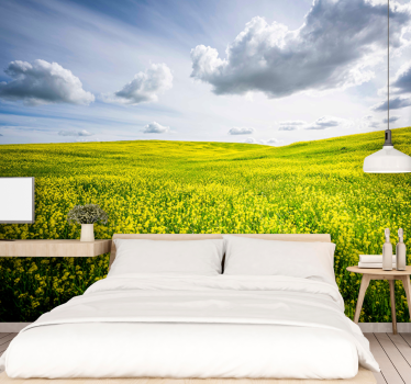Clouds and field aesthetic photography nature murals - TenStickers