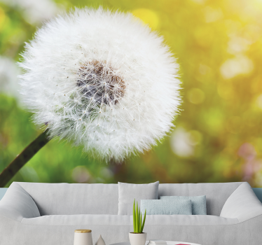 Dandelion in the sun flower wall mural - TenStickers