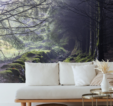 Dark forest Ireland forest mural wallpaper - TenStickers