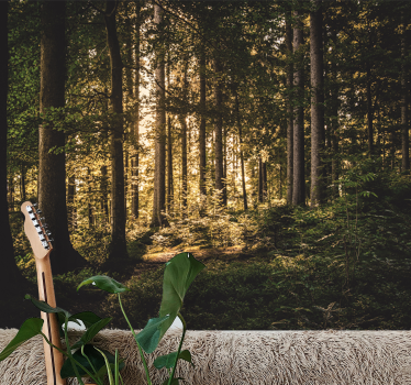 Forest wall mural bright forest path - TenStickers