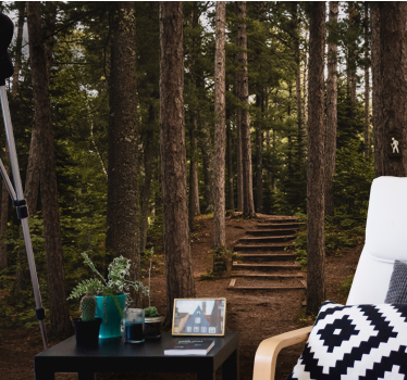 Forest wall mural forest pathway serenity - TenStickers