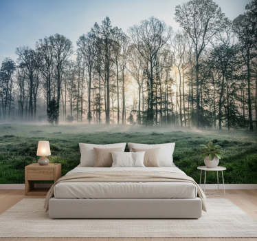 Forest wall mural misty morning meadow - TenStickers