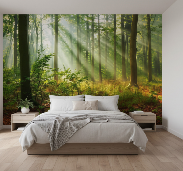 Forest wall mural sunlit morning grove - TenStickers
