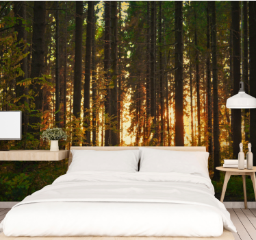 Forest wall mural sunset tree silhouettes - TenStickers