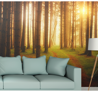 Forest wall mural woodland trail scene - TenStickers
