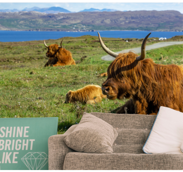 Highland cow group mural wallpaper - TenStickers