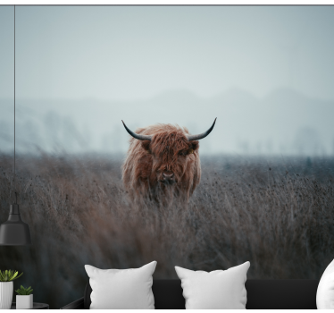 Highland Cow mural wallpaper - TenStickers