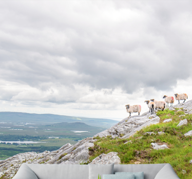 Lambs on slopes wall mural - TenStickers