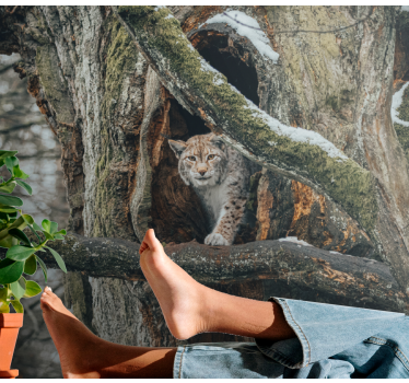 Lynx in Tree animal wall mural - TenStickers