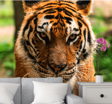 Menacing tiger looking ahead mural wallpaper - TenStickers