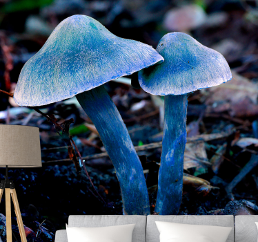 Nature wall mural unique mushroom shapes - TenStickers