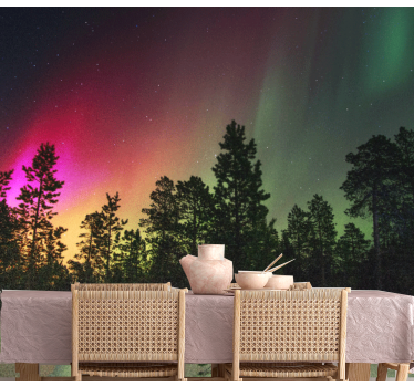 Northern lights over trees night sky wall mural - TenStickers