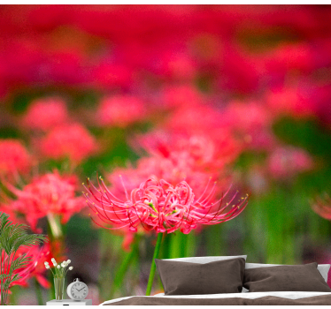 Poppy wall mural lively crimson flowers - TenStickers