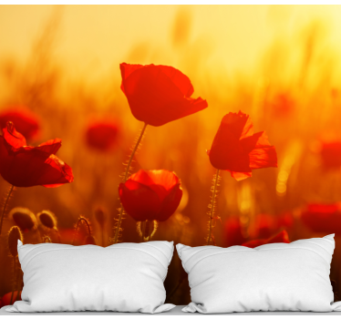 Poppy wall mural poppy field sunrise - TenStickers