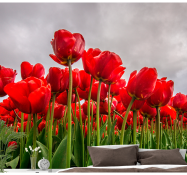 Red flowers filed with cloudy sky mural wallpaper - TenStickers