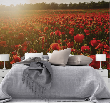 Red poppies sunset flower photo mural - TenStickers