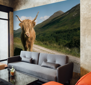 Scottish high lander animal mural wallpaper - TenStickers