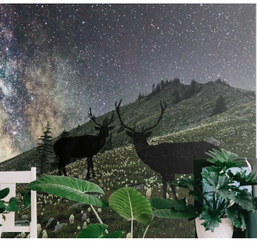 Starry Night Deers forest wall mural - TenStickers