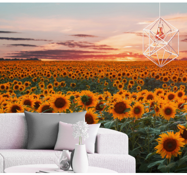 Sunflower orange sunset mural wallpaper - TenStickers