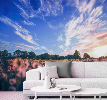 Sunlight in nature aesthetic nature murals - TenStickers