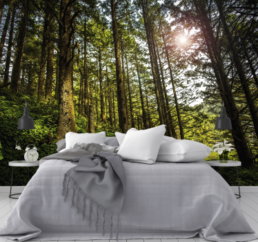 Sunny forest tree wall mural - TenStickers