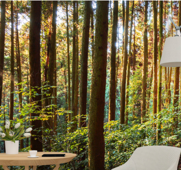 Tall tree trunks forest mural wallpaper - TenStickers