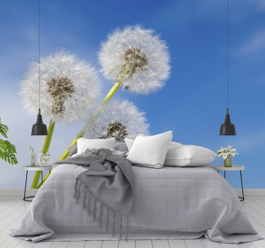 Three dandelion flowers wall mural - TenStickers