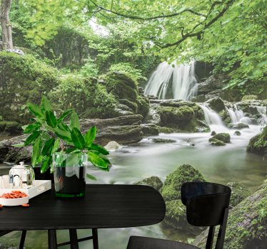 Tropical Rainforest tree wall mural - TenStickers