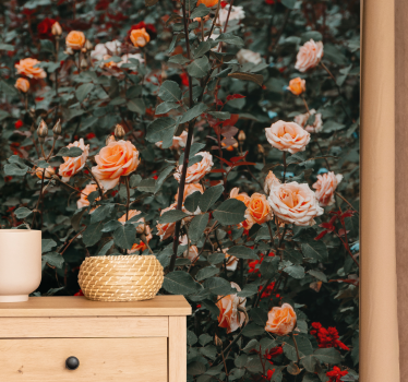 Wall mural roses in bloom - TenStickers