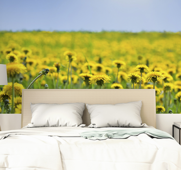 Yellow dandelion field flower wall mural - TenStickers
