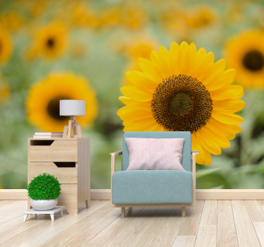 Zonnebloemveld muurschildering - TenStickers