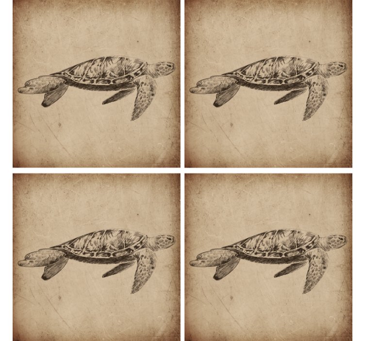 Sketch sea life turtle Illustration vintage coasters - TenStickers