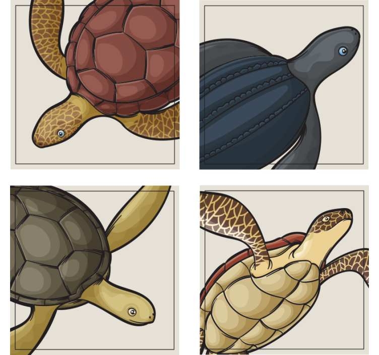 Turtles Animal Tile Coaster Set - TenStickers