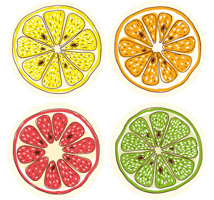 Citrus Slice Motifs geek coasters - TenStickers