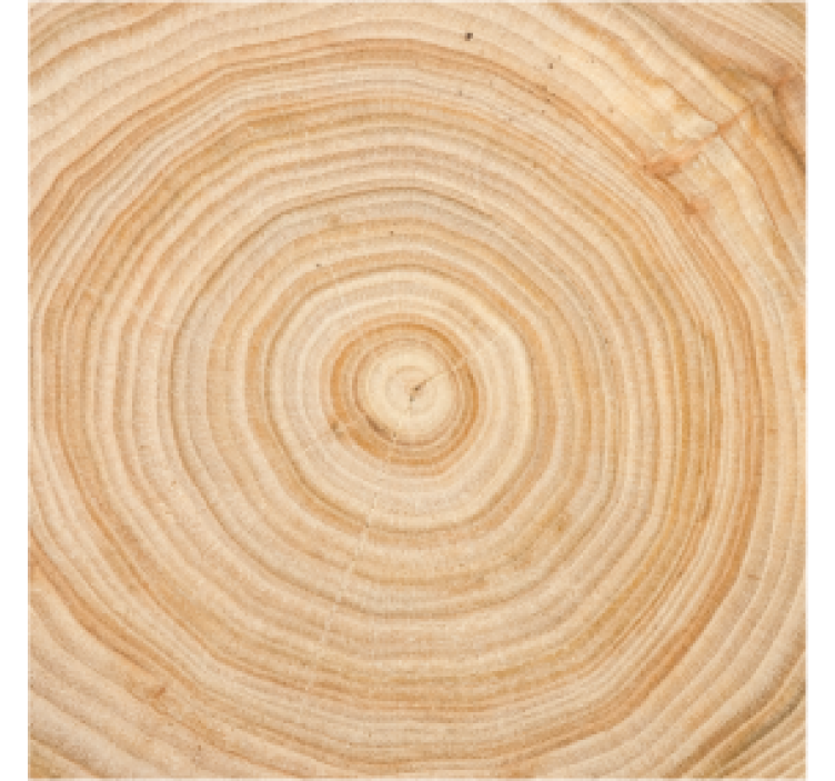 Circular wooden pattern bark tree coaster - TenStickers