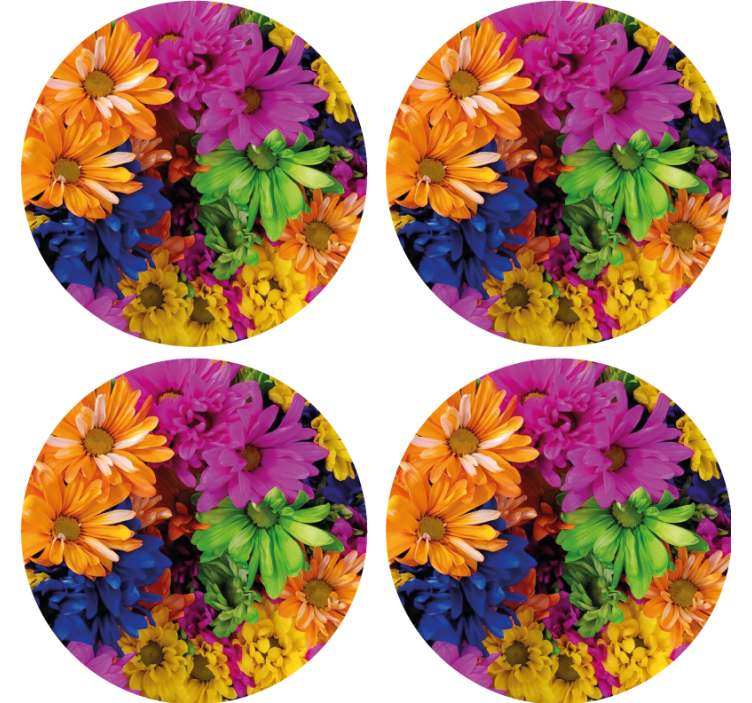 Multicolor daisies modern coaster - TenStickers