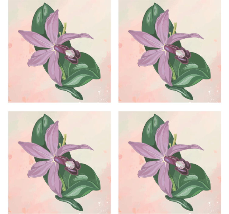 Modern coasters elegant orchid blossom design - TenStickers